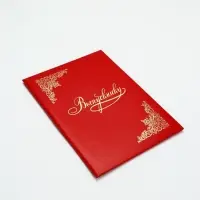 Папка адресная &laquo;Выпускнику&raquo;, А4