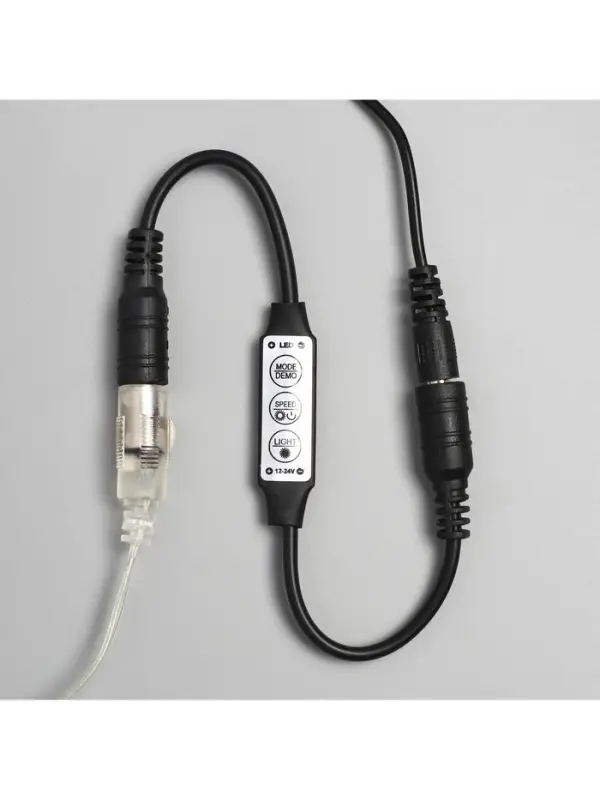 Гирлянда &laquo;Конский хвост&raquo; 10 нитей по 1 м, IP20, серебристая нить, 100 LED, свечение белое, 8 режимов, 12 В