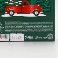 Winter Melody НаборBright Christmas night Гель д/душа, 300 мл и бомбочки для ванны, 4*40 гр,