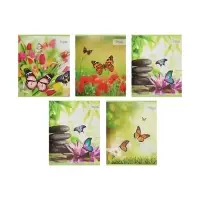 Тетрадь 36 листов в клетку Calligrata «Бабочки», обложка мелованная бумага, блок №2 белизна 75% (серые листы), МИКС