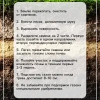 Газонная травосмесь &laquo;Красотень&raquo;, &laquo;Гном&raquo; 1 кг
