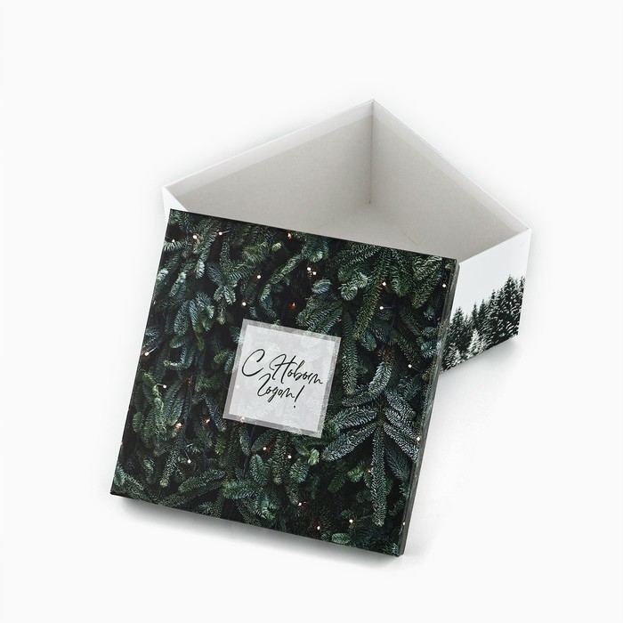 Набор подарочных коробк 5 в 1 «Снежная зима», 14 х 14 х 8–22 х 22 х12 см, Новый год Набор подарочных коробк 5 в 1 «Снежная зима», 14 х 14 х 8–22 х 22 х12 см, Новый год