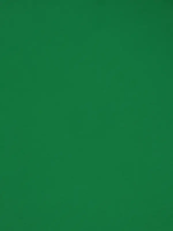 Пленка двухсторонняя для цветов и декора, 0.57&times;0.57 см, зелёный