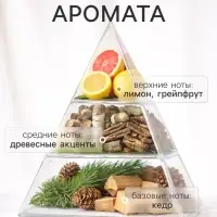 Диффузор ароматический с палочками Holi Jubilation, 50 мл