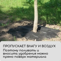 Круг приствольный, d = 0,8 м, плотность 60 г/м², спанбонд с УФ-стабилизатором, набор 5 шт., чёрный, Greengo, Эконом 20%