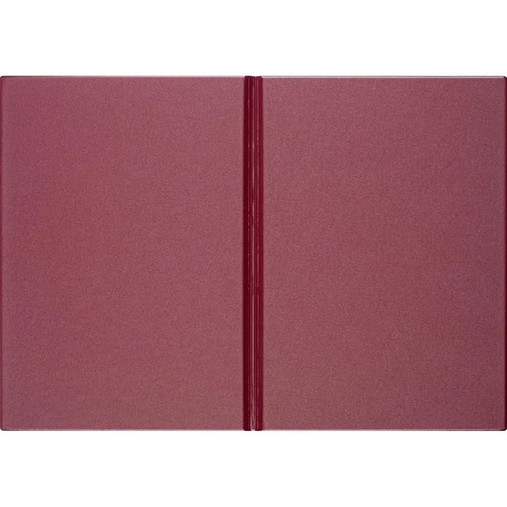 Папка адресная На подпись 2032И-203, ПВХ, бордовая, Россия