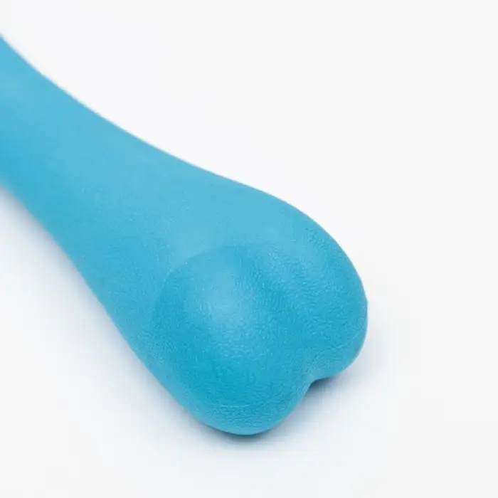 Жевательная игрушка для собак &laquo;Немалая кость&raquo;, 16 см, TPR, синяя