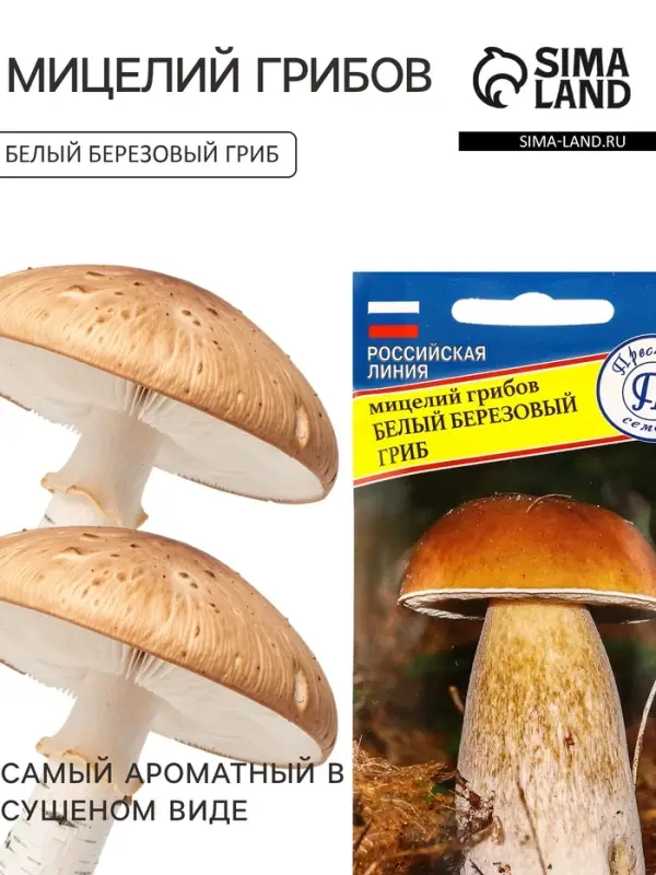 Мицелий грибов Белый гриб &laquo;Берёзовый&raquo;, 60 мл, &laquo;Престиж семена&raquo;