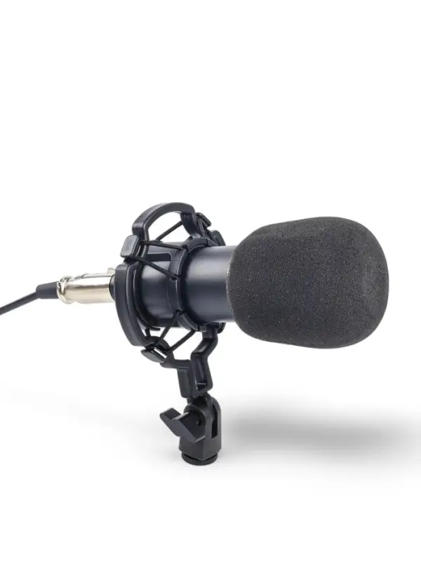 Микрофон конденсаторный Music Life золотой: кабель, ветрозащита, стойка