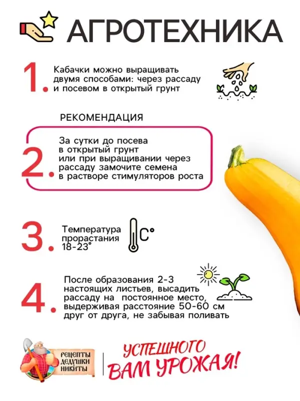 Семена Кабачок цуккини  Семена Кабачок цуккини "Желтоплодный", 1 г