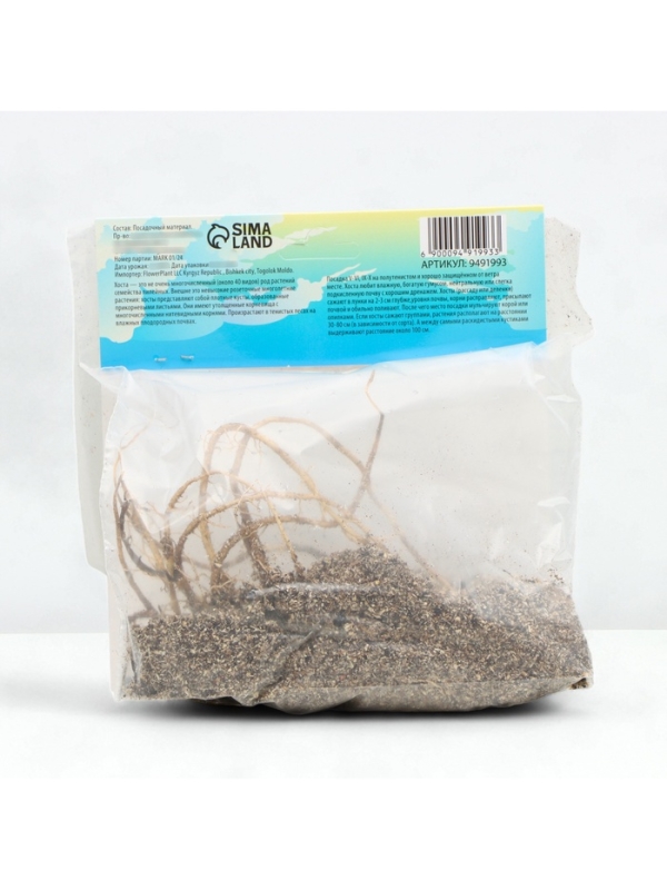 Хоста Moerheim, корневище в пакете с торфогрунтом, р-р I, размер L,1 шт.