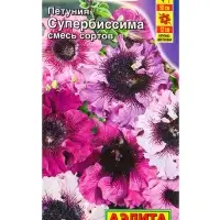 Семена цветов Петуния Супербиссима крупноцветковая, смесь сортов (драже) С. Cerny, Ц/П,7 шт. 109458 Семена цветов Петуния Супербиссима крупноцветковая, смесь сортов (драже) С. Cerny, Ц/П,7 шт. 109458