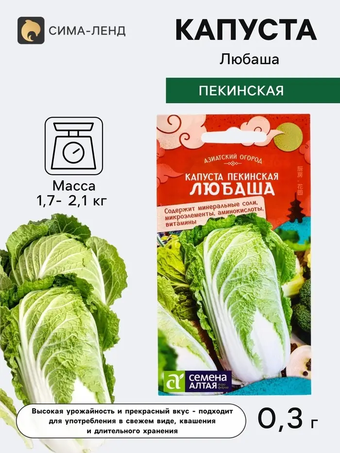 Семена Капуста пекинская &laquo;Любаша&raquo;, 0.3 г, &laquo;Семена Алтая&raquo;