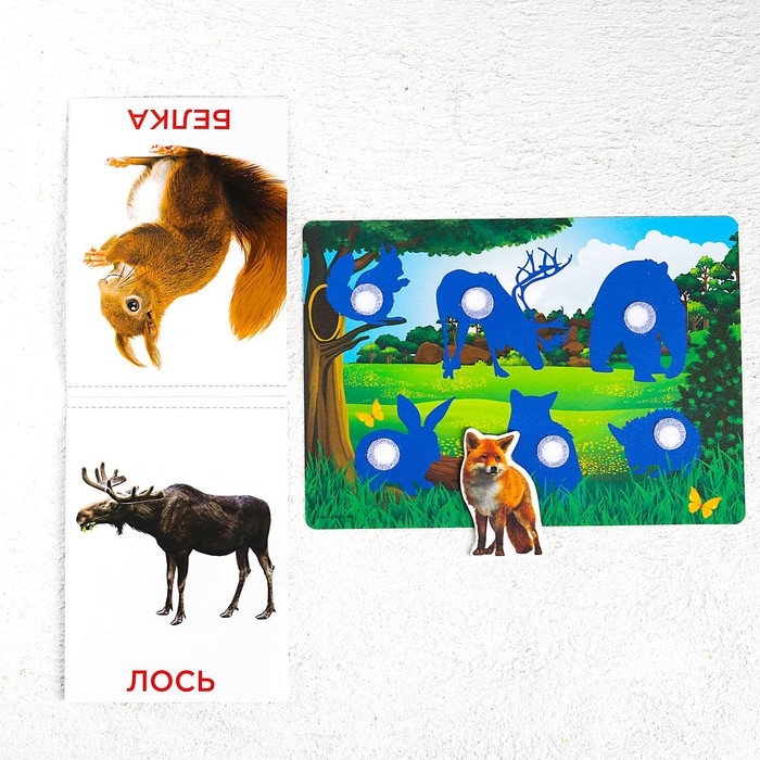 Развивающая игра на липучках «Изучаем мир лесных животных», методика Домана, с обучающими карточками по методике Глена Домана Развивающая игра на липучках «Изучаем мир лесных животных», методика Домана, с обучающими карточками по методике Глена Домана