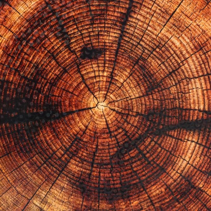 Разделочная доска-поднос Разделочная доска-поднос "Спил" 36х28 см