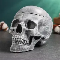 Шкатулка для мелочей "Череп" серый камень, 16х15х22см