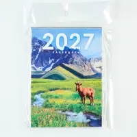 Календарь 2027, отрывной на магните, 9.5&times;13 см, МИКС