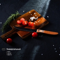 Нож кухонный Доляна «Эльбрус», лезвие 11,5 см