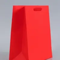 Пакет подарочный ламинированный, упаковка, &laquo;Красный&raquo;, ML 23&times;27&times;11.5 см