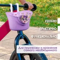 Корзинка детская на велосипед Dream Bike, 22.7&times;13.5&times;14.3 см, фиолетовая