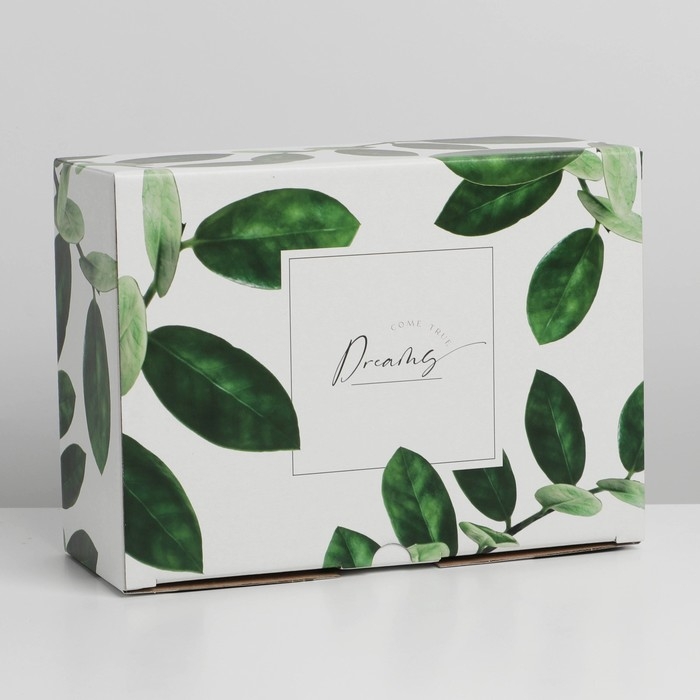 Коробка‒пенал, упаковка подарочная, «Dreams», 26 х 19 х 10 см Коробка‒пенал, упаковка подарочная, «Dreams», 26 х 19 х 10 см
