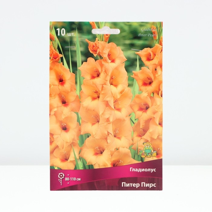 Гладиолус крупноцветковый «Питер Пирс », луковица цветов в пакете с перфорацией, р-р 10/12, 10 шт.