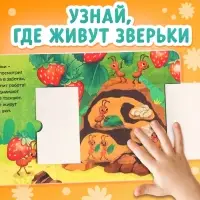 Картонные книги с окошками &laquo;Что внутри?&raquo;, набор 3 шт. по 12 стр.