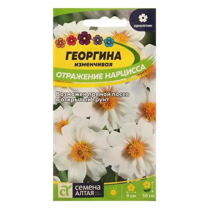 Семена цветов Георгина  Семена цветов Георгина "Отражение Нарцисса", Сем. Алт, ц/п, 0,2 г