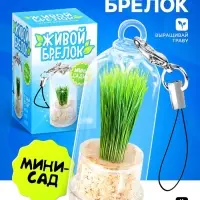 Набор для опыта &laquo;Живой брелок&raquo;, мини-сад, выращивание травы