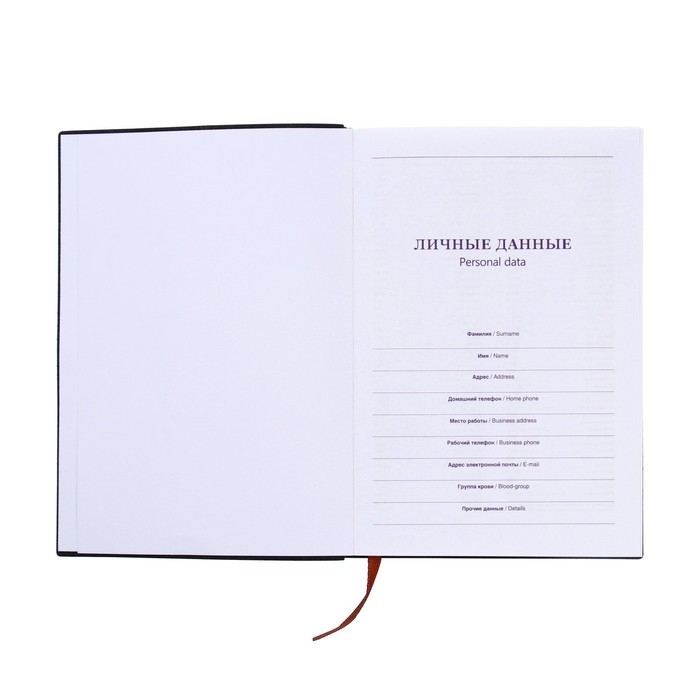 Ежедневник недатированный A5  Ежедневник недатированный A5 "Классика", обложка ПВХ, с ручкой, 140 листов, МИКС