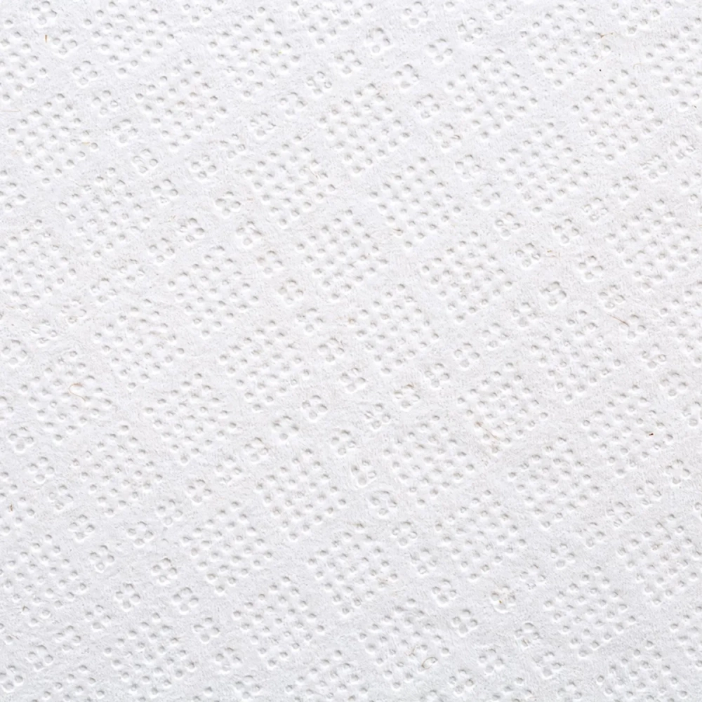 Полотенца бумажные д/держ.FOCUS Jumbo с ЦВ 2сл.125м 6рул 5036772