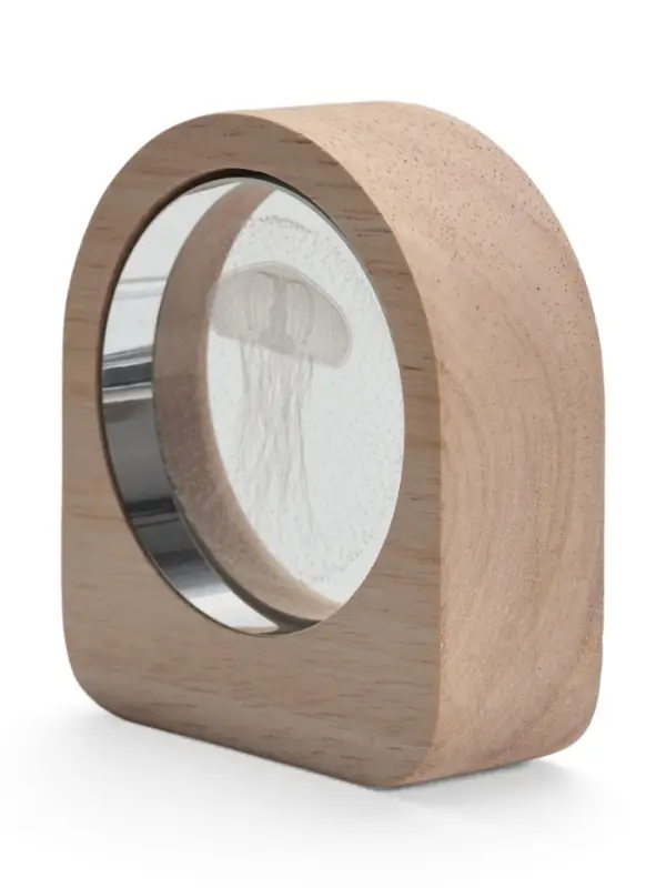 Ночник светодиодный &laquo;Медуза&raquo;, 3&times;7.5&times;8.4 см, USB