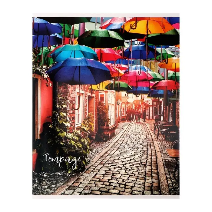 Тетрадь 48 листов в клетку Calligrata &laquo;Яркие зонты&raquo;, МИКС