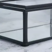 Стеклянная шкатулка для украшений с крышкой, зеркальным основанием, 14.5&times;8.5 см, прозрачная, чёрный каркас