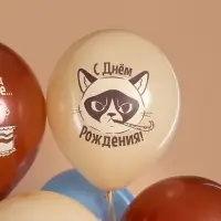 Воздушные шары латексные 12" &laquo;С Днем Рождения! (Сердитая кошка)&raquo;, МИКС, набор 25 шт.