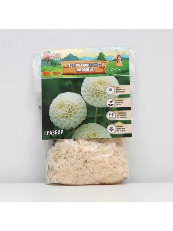 Георгина Помпонная «Сноуфлейк», клубелуковица в упаковке, р-р см, I, 1 шт.