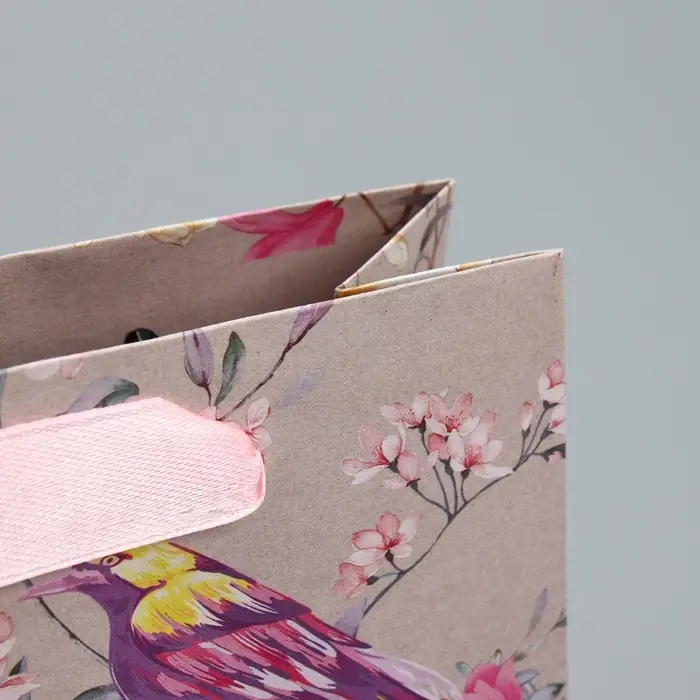 Пакет подарочный крафтовый, упаковка, «Птицы», S 15 х 12 х 5.5 см Пакет подарочный крафтовый, упаковка, «Птицы», S 15 х 12 х 5.5 см