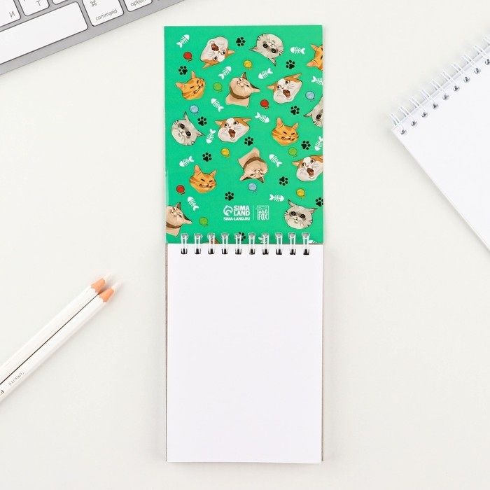 Скетчбук А6, 40 л. 100 г/м&sup2; &laquo;Коты&raquo;