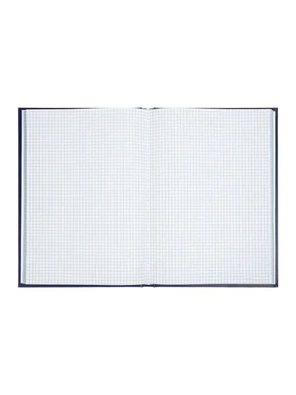 Книга учета А4, 192 листа, клетка, 200&times;290 мм, бумвинил, синий, блок офсетный