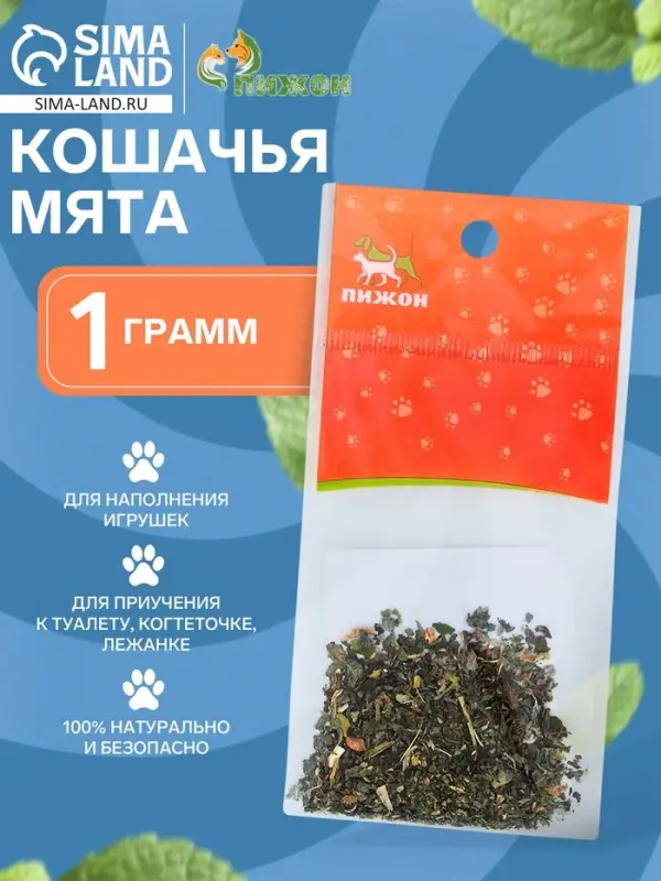 Кошачья мята  Кошачья мята "Пижон", 1 г