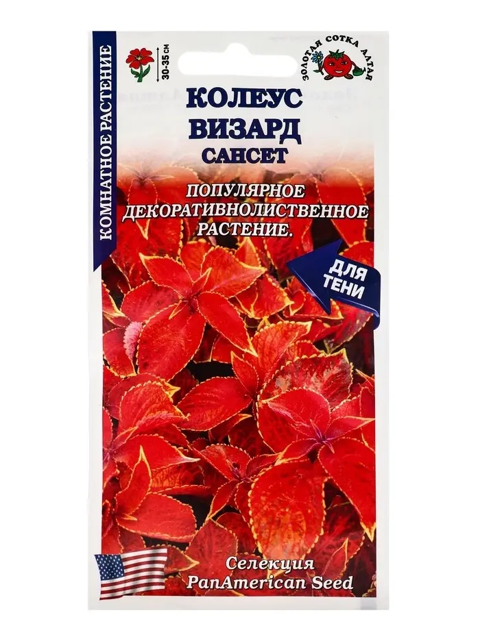 Семена Ком: Колеус Визард Сансет /Сотка/ 10шт/ h-35cм PanAm/*500 Семена Ком: Колеус Визард Сансет /Сотка/ 10шт/ h-35cм PanAm/*500