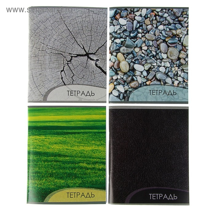 Тетрадь 96 листов в клетку Calligrata Тетрадь 96 листов в клетку Calligrata "Текстура 2", обложка мелованный картон, блок офсет, МИКС