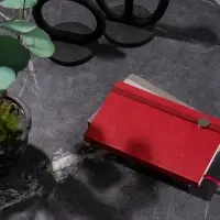 Ежедневник Nova Round, недатированный, серый