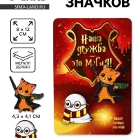 Значки деревянные, неразлучники &laquo;Наша дружба это магия&raquo;, 2 шт., 8&times;12 см