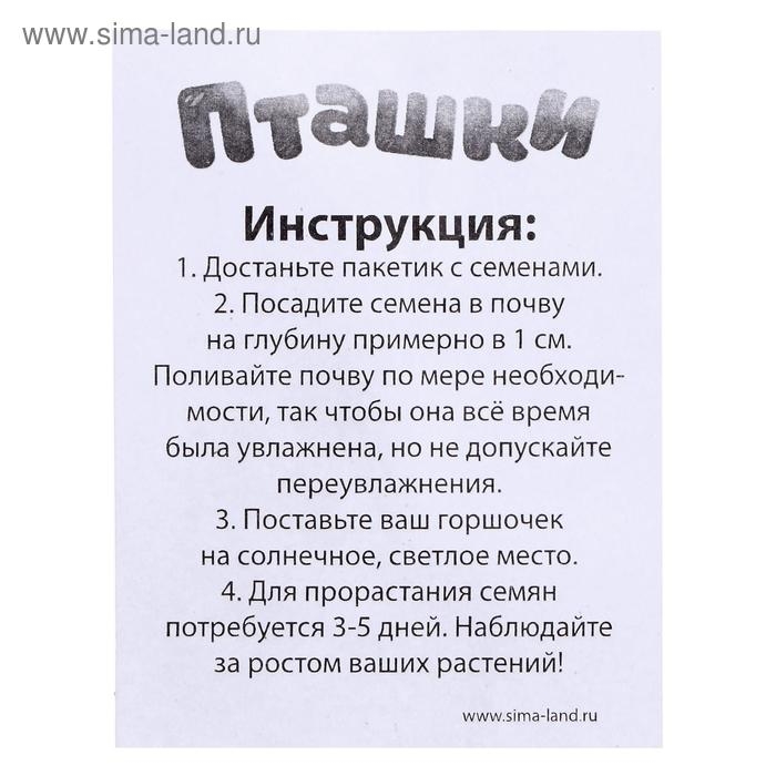 Набор для опытов «Пташки, выращиваем травку», фиолетовый горшочек