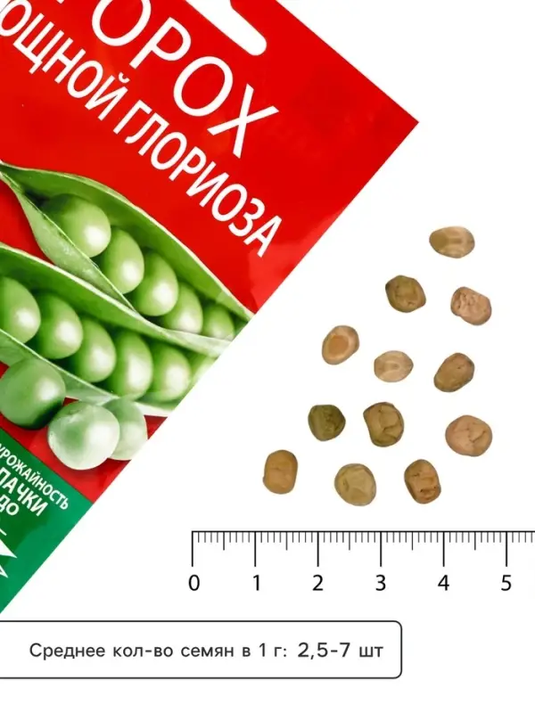Семена Горох &laquo;Глориоза&raquo;, сахарный, 40 г, &laquo;Агроуспех&raquo;