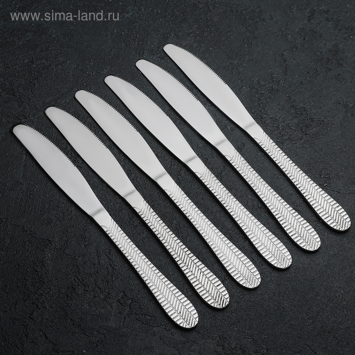 Ножи столовые Доляна «Фараон», длина 20 см, 6 шт, цвет серебряный