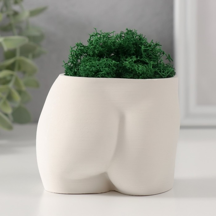 Сувенир  Сувенир "Невинный вид" со мхом высота 6,5см, ширина 8,5см белый (мох зелен. стабилиз)