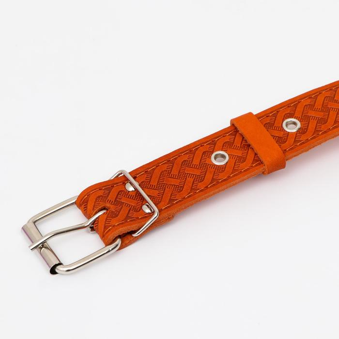 Ошейник кожаный тисненый однослойный, безразмерный, 64 х 3,5 см, ОШ 31-60 см, рыжий Ошейник кожаный тисненый однослойный, безразмерный, 64 х 3,5 см, ОШ 31-60 см, рыжий