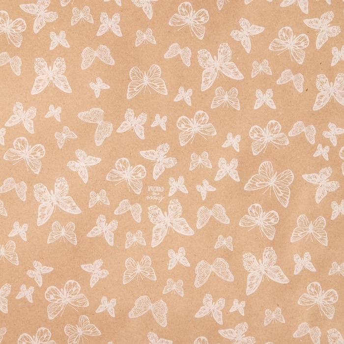 Бумага упаковочная крафт в рулоне «Легкость», 0,7 х 8 м